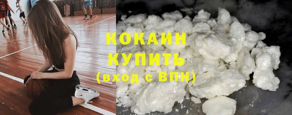 apvp Рославль