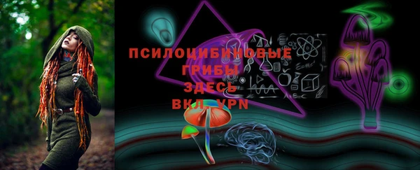 МДПВ Армянск