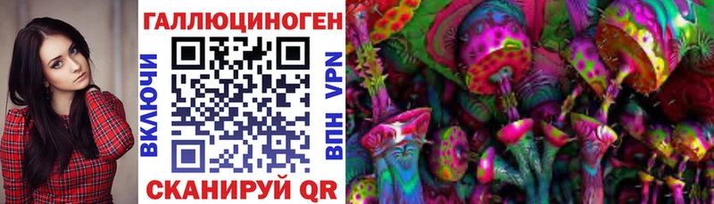 Псилоцибиновые грибы GOLDEN TEACHER Новоалтайск