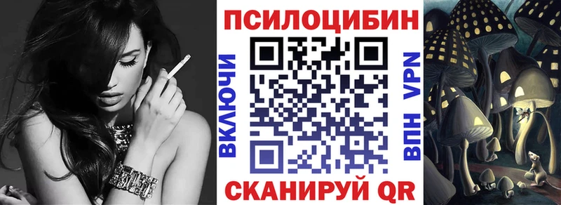 Псилоцибиновые грибы Psilocybe  даркнет сайт  Новоалтайск 